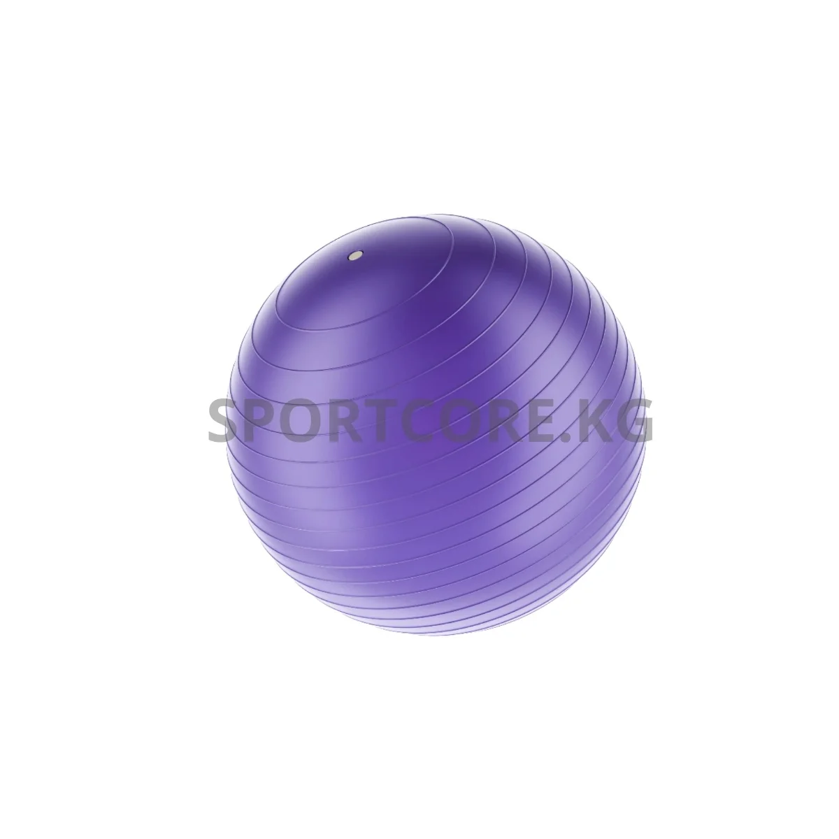 Фитбол — купить в SPORTCORE Бишкек